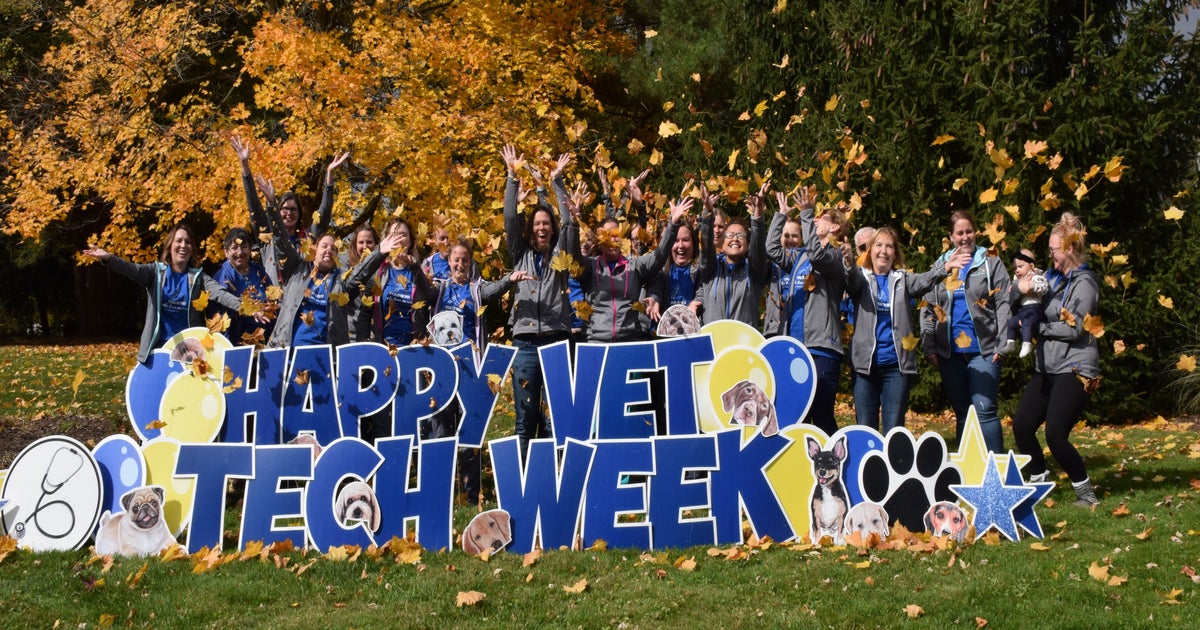 Meet the Team East Suburban Animal Hospital